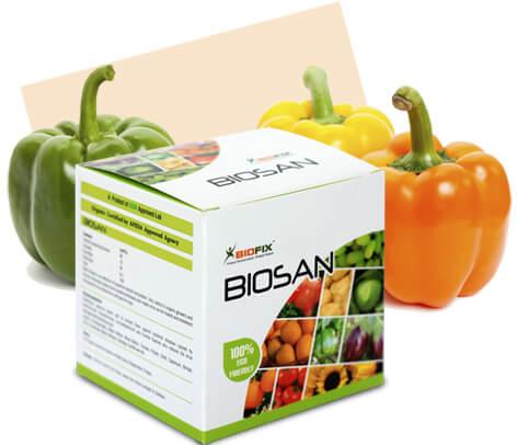 Biosan Bio Insecticide, Packaging Type : Bottle