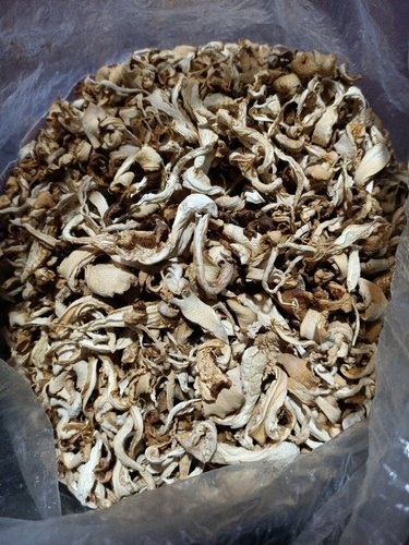 Organic Dry Oyster Mushroom