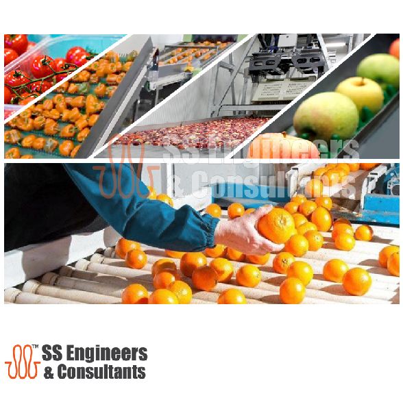 Buy Post Harvest Vegetable and Fruit Plant and Machinery from SS