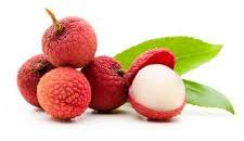 Fresh Red Litchi