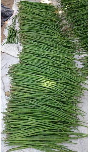 Common Long Beans, Color : Green