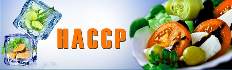 HACCP Certification Consulting Services