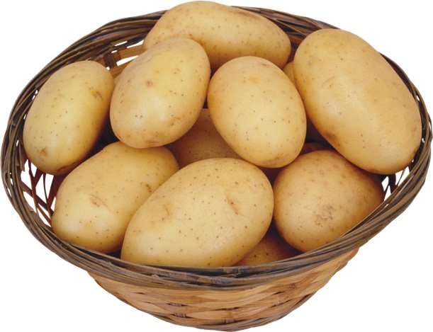 Common Fresh Indian Potato, Shelf Life : 3 Months