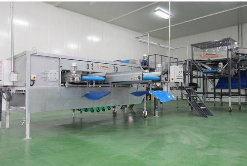 Electric Vegetable Processing Plant
