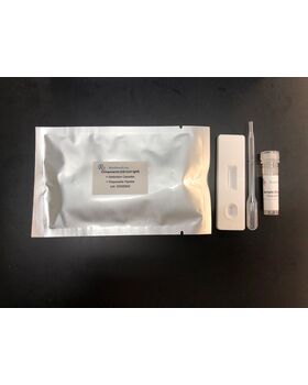 IgM/IgG Rapid Test Kit