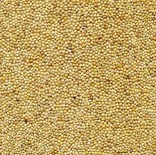 Millet Seeds