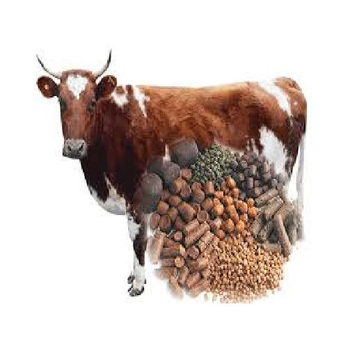 Cattle Feed Supplement, Form : Solid/Semi Solid/Pellet