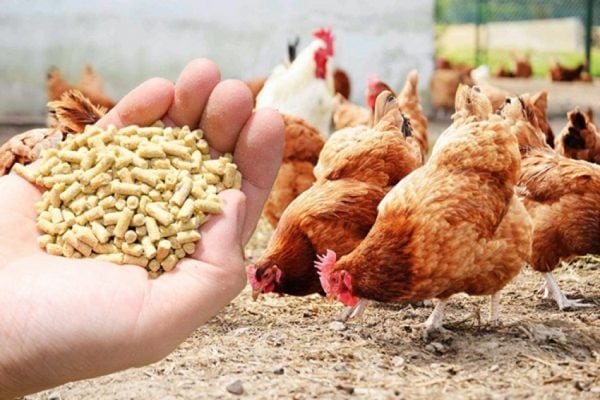 Poultry Feed functional application, Certification : quality test lab - M/s  WISE MARKETING, Vijayawada, Andhra Pradesh