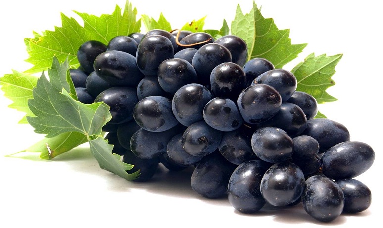 Organic fresh black grapes, Shelf Life : 5-7days