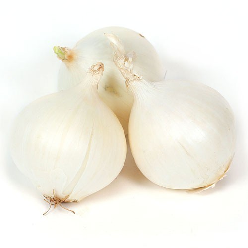 Organic Fresh White Onion, for Cooking, Fast Food, Snacks, Size : Large, Medium, Small
