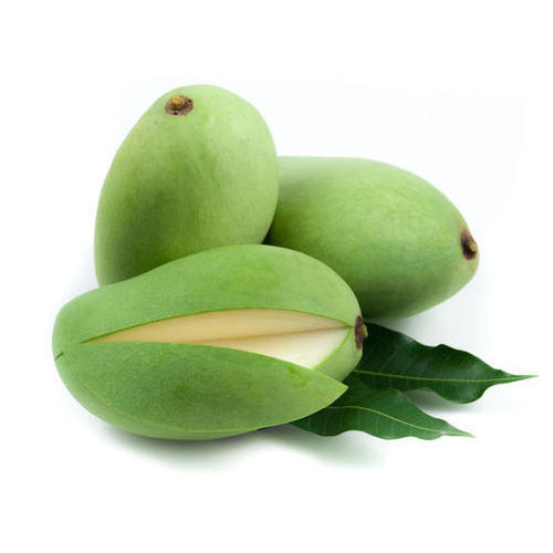 Organic Raw Mango, for Direct Consumption, Food Processing, Feature : Bore Free