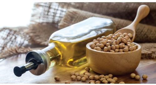 SBH Organic Soybean Oil, for Cooking