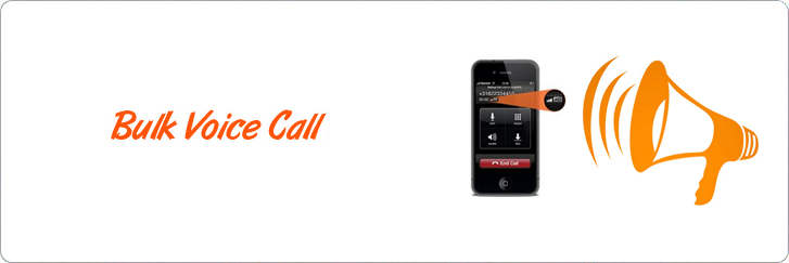 Bulk Voice Call Services