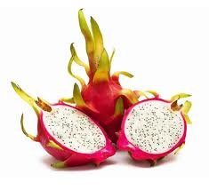 Organic fresh dragon fruit, Packaging Type : Jute Bag, Plastic Bag