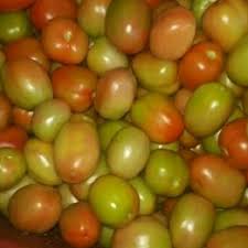 Common Fresh Organic Tomato, Color : Green, Red