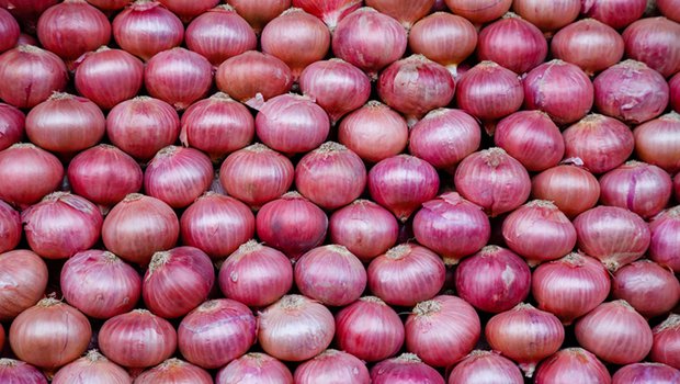 Organic fresh red onion, for Cooking, Style : Natural