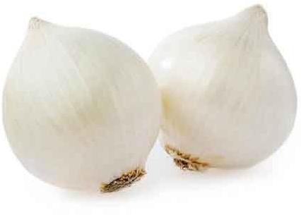 Oval Organic Fresh White Onion, for Cooking, Style : Natural