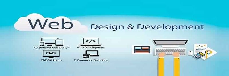 Website Design &amp; Development