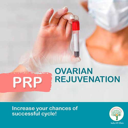 Ovarian Rejuvenation Therapy