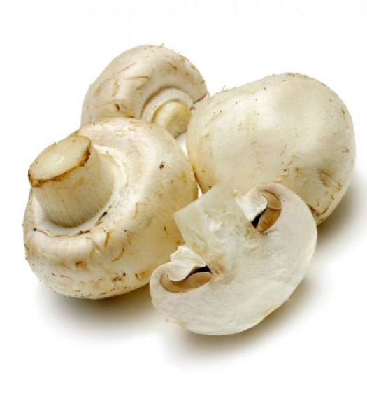 Fresh mushroom, Packaging Type : Bag, Can