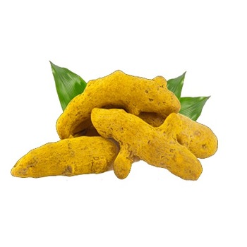 Natural turmeric finger, for Ayurvedic Products, Cooking, Herbal Products, Medicine, Style : Dried