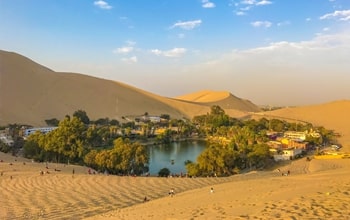 Desert And Oasis Package