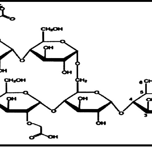 Carboxymethyl Starch