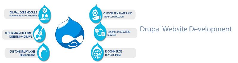 Drupal Website Development Services