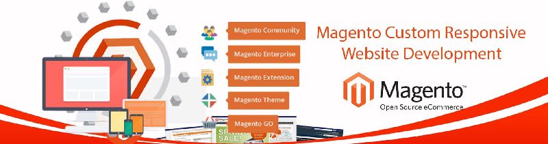 Magento Website Development Services