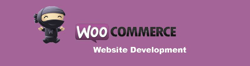 Wordpress E-Commerce Development Services