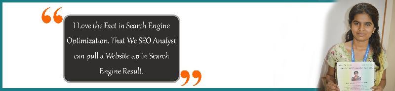 Search Engine Optimization Course