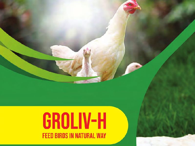 GrolivH Feed Supplement Buy Poultry Feed Supplements in Bangalore