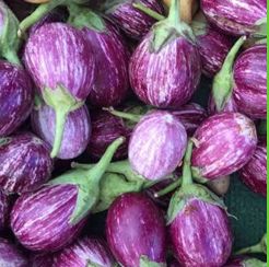 Fresh Eggplant, Color : Voilet