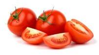 Organic fresh tomato, Packaging Type : Jute Bag, Plastic Crates