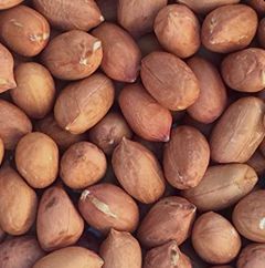 Organic peanut kernels, Packaging Type : Jute Bag
