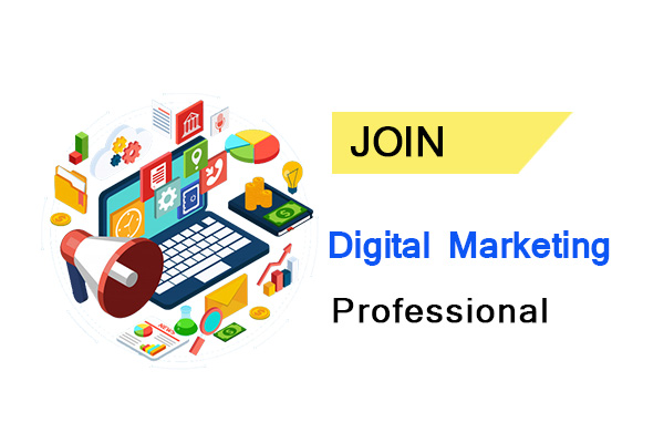 Digital Marketing Professional Course