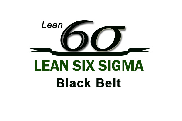Lean Six Sigma Black Belt Certification Training Course