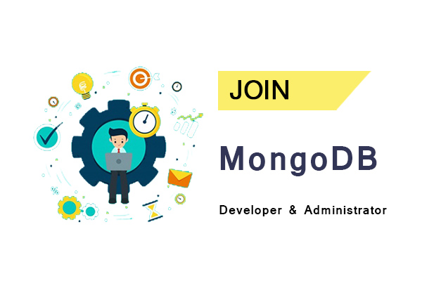 MongoDB Developer and Administrator Course