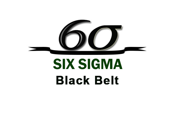 Six Sigma Black Belt Certification Training Course