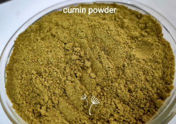 Cumin Powder, for Cooking, Snacks, Style : Dried
