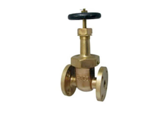 gate valve