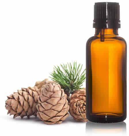 Cedarwood Oil, Purity : 100% Natural Pure