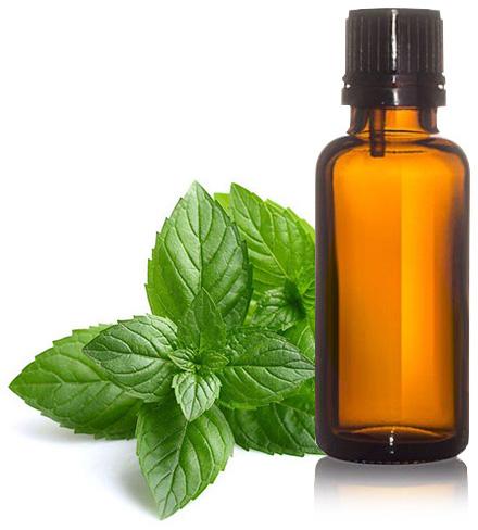 Mentha Piperita Oil