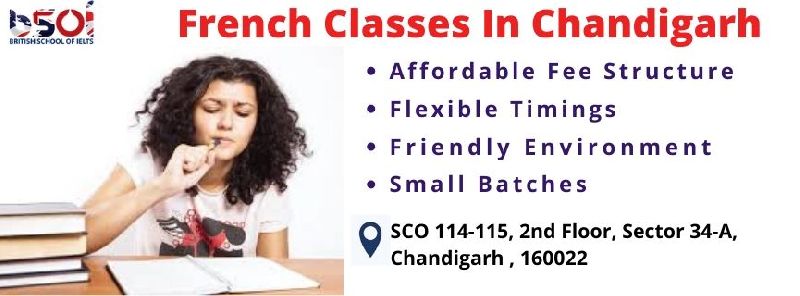 French Language Classes Services