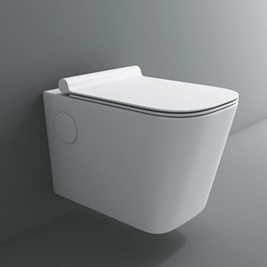 Polished Ceramic Desire Toilet Seat, Color : White