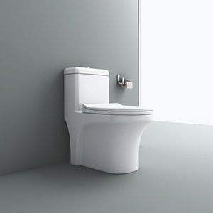 Oval Polished Ceramic Lexus Toilet Seat, Color : White