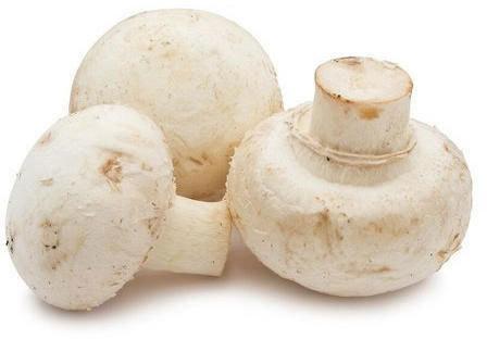 Fresh Button Mushroom, Color : White