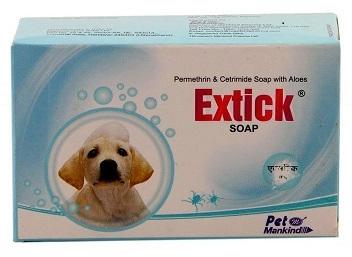 Dog soaps