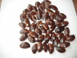 Udara Seeds, Shelf Life : 12-16 Months