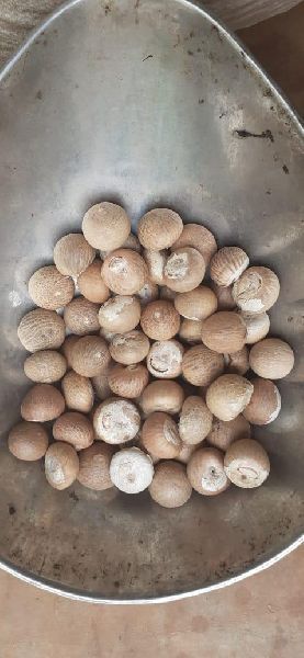Raw Common areca nut, Packaging Type : Jute Bag